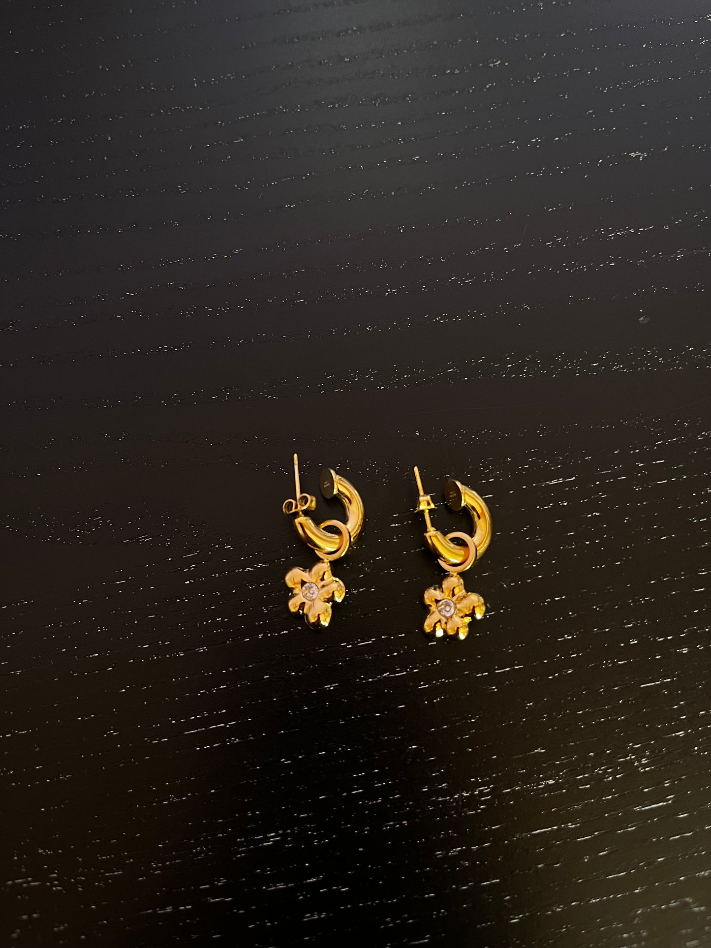 Rina earrings -30%